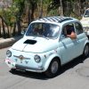 Burgio_2009 (375)